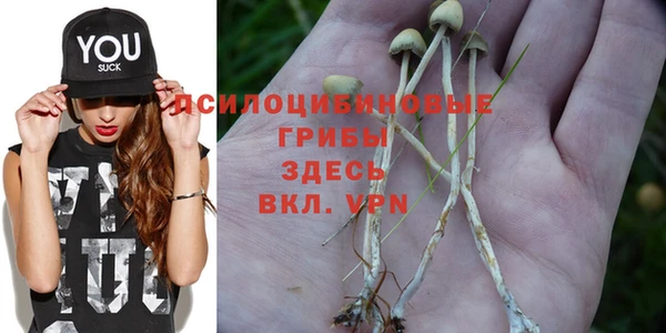 эйфоретик Алексеевка