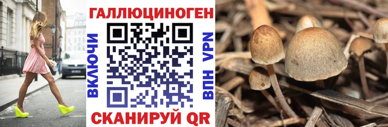 hydra рабочий сайт  Миньяр  Галлюциногенные грибы прущие грибы 